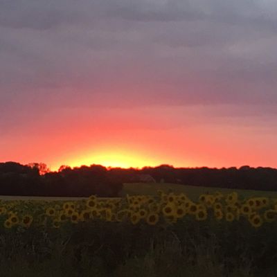 La France, au centre et en famille