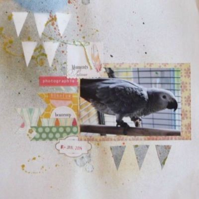 Ma nouvelle occupation