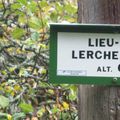 BREITENBACH - STEINBERG - RIED - LUTTENBACH près MUNSTER 