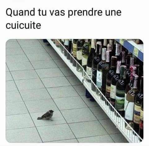une bonne cuicuite