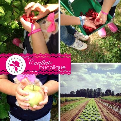 Un dimanche à la cueillette avec Lou & Mila 