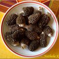 Les morilles...