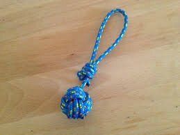 Atelier pomme de Touline 