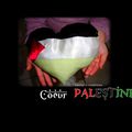 coeur palestine