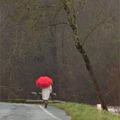Parapluie...