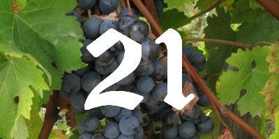 Quoi boire avec la dinde ?