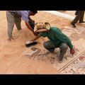 QUE SE CACHE-T-IL SOUS LES PIERRES DE GAZA ?