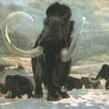 Des scientifiques sont sur le point de ressusciter un mammouth !