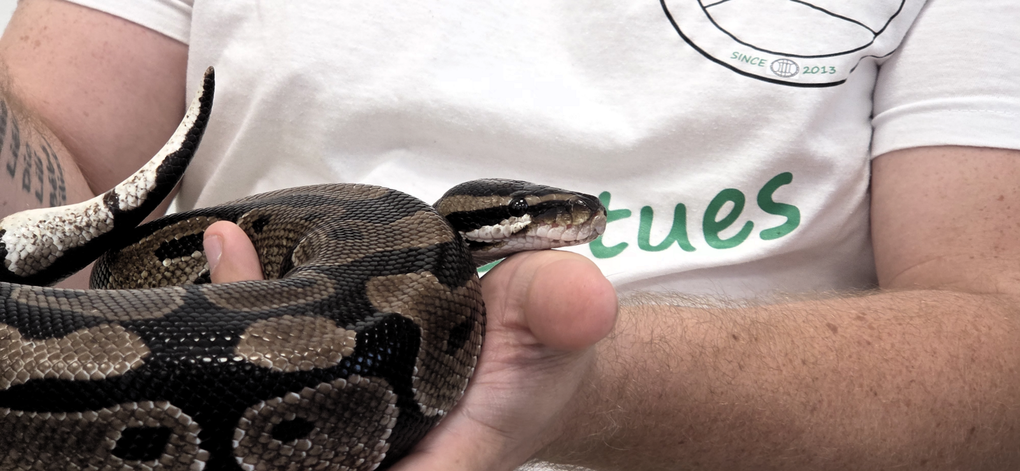 Photographies : ©2025 David de Boisvilliers