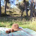 Into the Wild...au pied de la Sainte Victoire