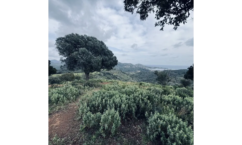 Spot VDP dans l’Estérel.