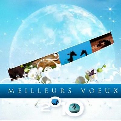 Je vous souhaite une merveilleuse année 2010 !