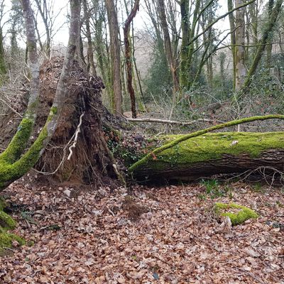 Le joli mois de mars