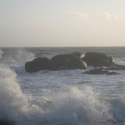 Sunday, sunday... And again... In my bag...