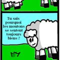 #10 : Mardi 9 avril