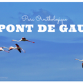 [Sortie] Ma découverte du Parc Ornithologique du Pont de Gau