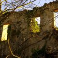 Ruine sous un beau jour