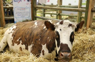 RAS-LE-BOL de voir les ministres du gouvernement confondre la Normandie avec le... salon de l'agriculture!