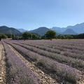 Les couleurs de l'été Diois ..