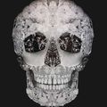 Garth Knight - Jewelled skull (vanitas), 2009