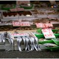 La belle série de Ixbé sur le marché au poisson