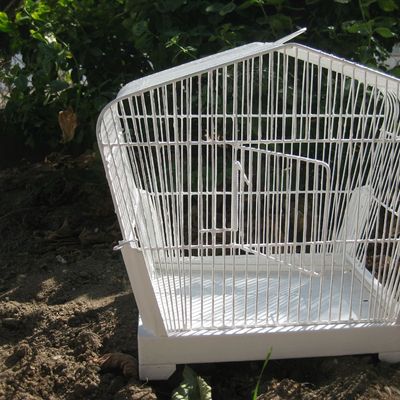 cet été j'ai retapé....