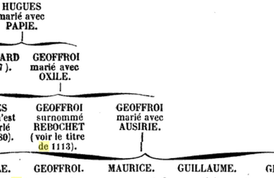 NOTES Sur quelques chartes relatives à l'église de FOURAS EN AUNIS, Par M. FAYE.