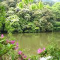 Kyoto et ses environs : toujours aussi beau 2/2