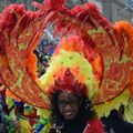 Couleurs antillaises au carnaval de Granville (Manche) le 26 février 2017 (1)