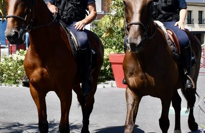 LA BRIGADE ÉQUESTRE EN SELLE JUSQU’AU 1er SEPTEMBRE.