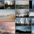 Petit coin de ciel du Lundi15 Février : Mosaïques de nos ciels