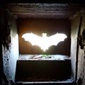 INVENTAIRE : DAVANTAGE DE CHAUVE-SOURIS DANS LES BLOCKHAUS SAINT-MICHELLOIS.