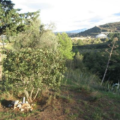 >>Retour en ce Décembre 2020 D'ESPOIR et de LIBERTE