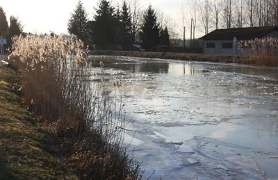 Les soldes, la glace et les hommes