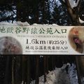 Snow monkeys Park