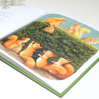 Langues de chat, sorbet abricot