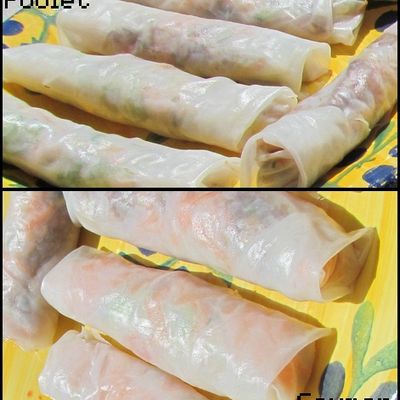 Rouleaux de printemps