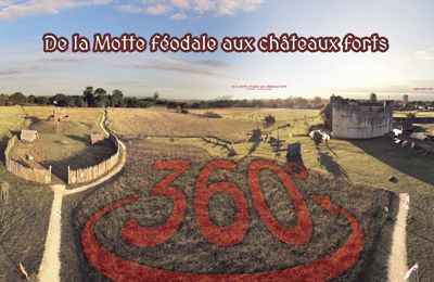 De la Motte féodale aux châteaux forts - Foulques Nerra (et Thibaut Ier de Blaison)