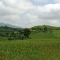 Vallée de l'Ourika