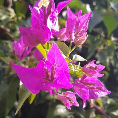 Un automne au chaud8