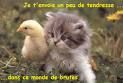 Pause Tendresse