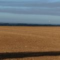 Un ballon, un marais, une plaine ....