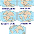 Les crocodiliens et la dérive des continents