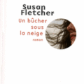 UN BUCHER SOUS LA NEIGE