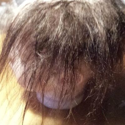 Arrêt sur image : RE rooting d'une echevelée !