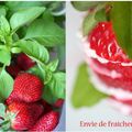 Antipasto de fraises, fromage de chèvre frais et basilic