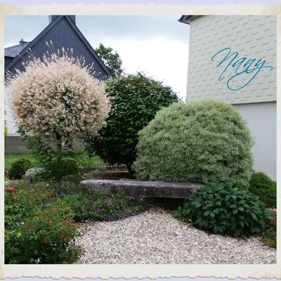 Petit journal du jour