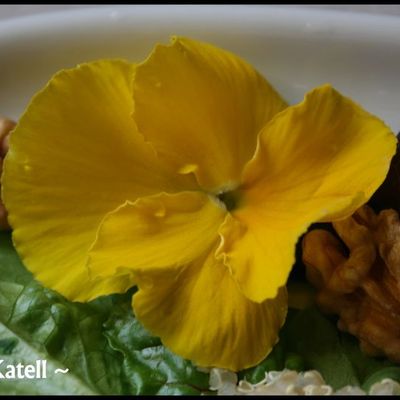 Salade florale au Quinoa