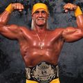 dites moi cesqui ces mon ami hulk hogan