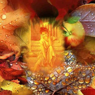 Saison en rouge et or